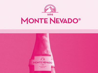 Monte Nevado